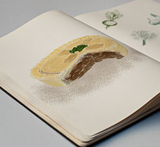 RHP Pigeon Pie Illustration